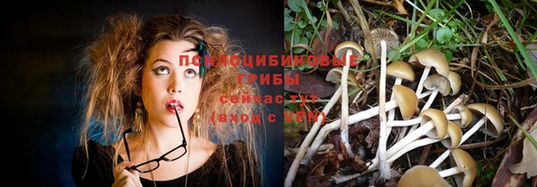 мдма Краснослободск