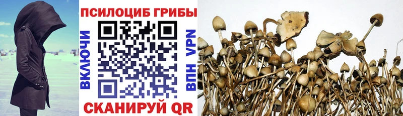 Псилоцибиновые грибы Psilocybe  Агидель 